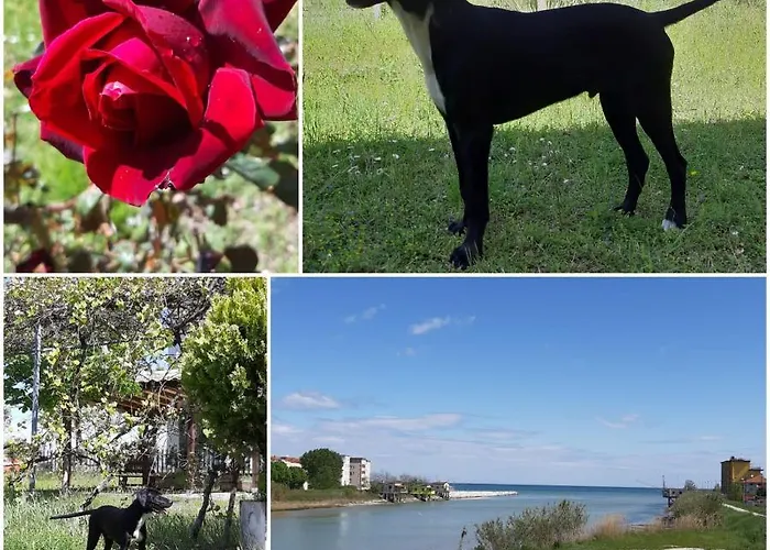 Del Vecchio Отель